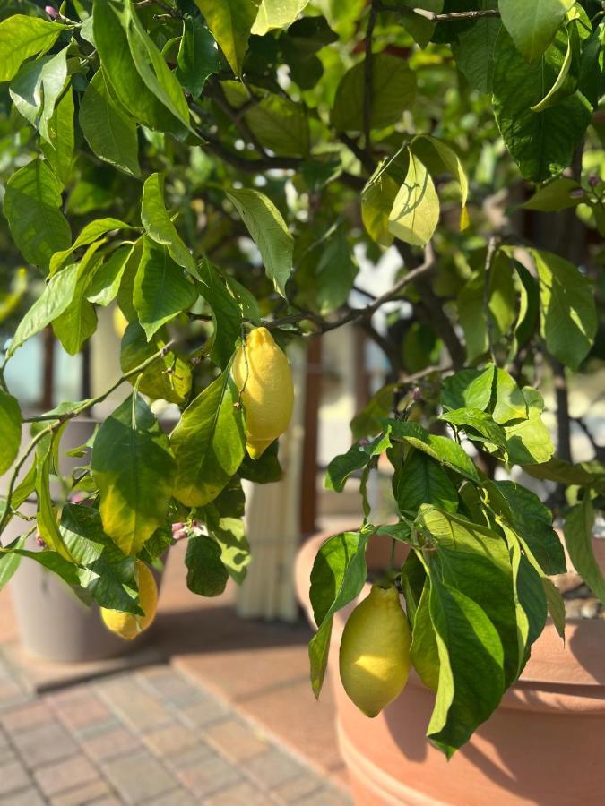 La Mimosa Lazise Otel Dış mekan fotoğraf